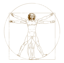 Grafische Darstellung der Leonardo da Vinci’s Proportionsstudie nach Vitruv hinter der Philosophie der Physiotherapie Praxis mensana•med in Köln